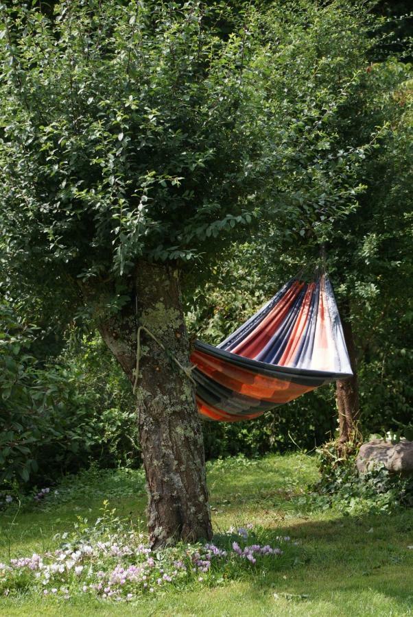 La Chaine Saint-Jean-du-Bois Luaran gambar